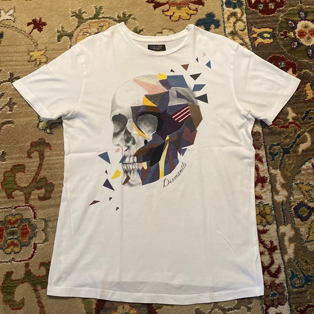 Men’s Zara t shirt